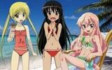 "Zero's Angel or Shana the Burning Eye?" Like Hayate? Aria of the Scarlet Bullet? Toradora?"